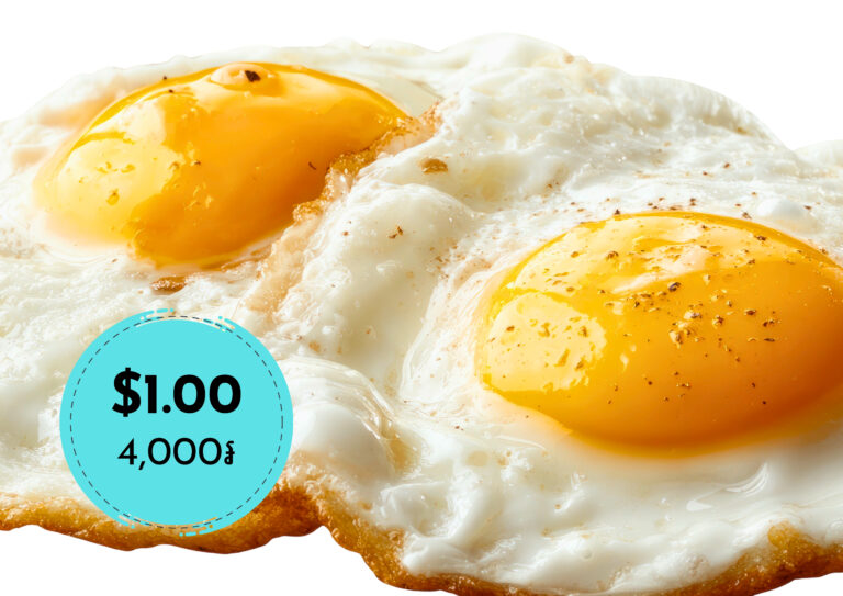 Egg